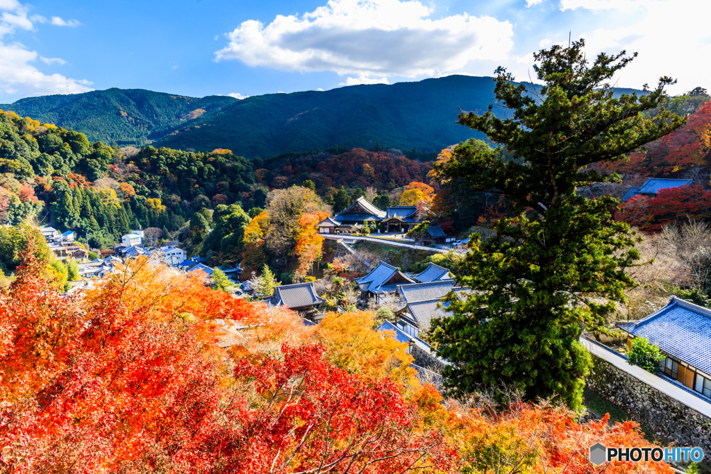 長谷寺の秋景