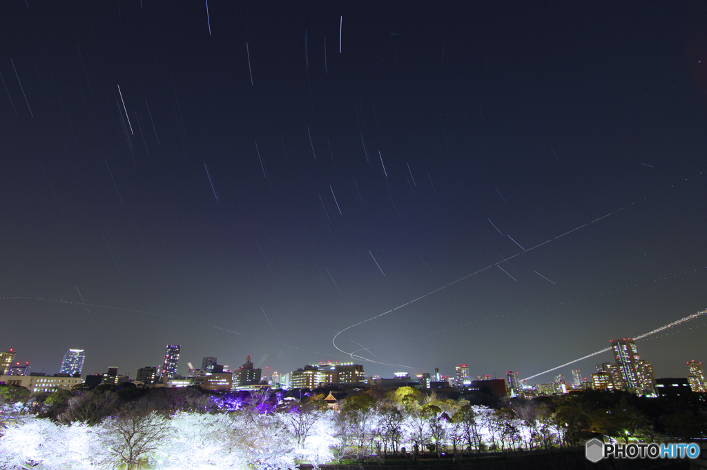 大坂城夜桜と星グル
