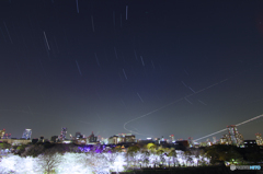 大坂城夜桜と星グル