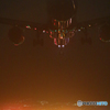 Blue light B787