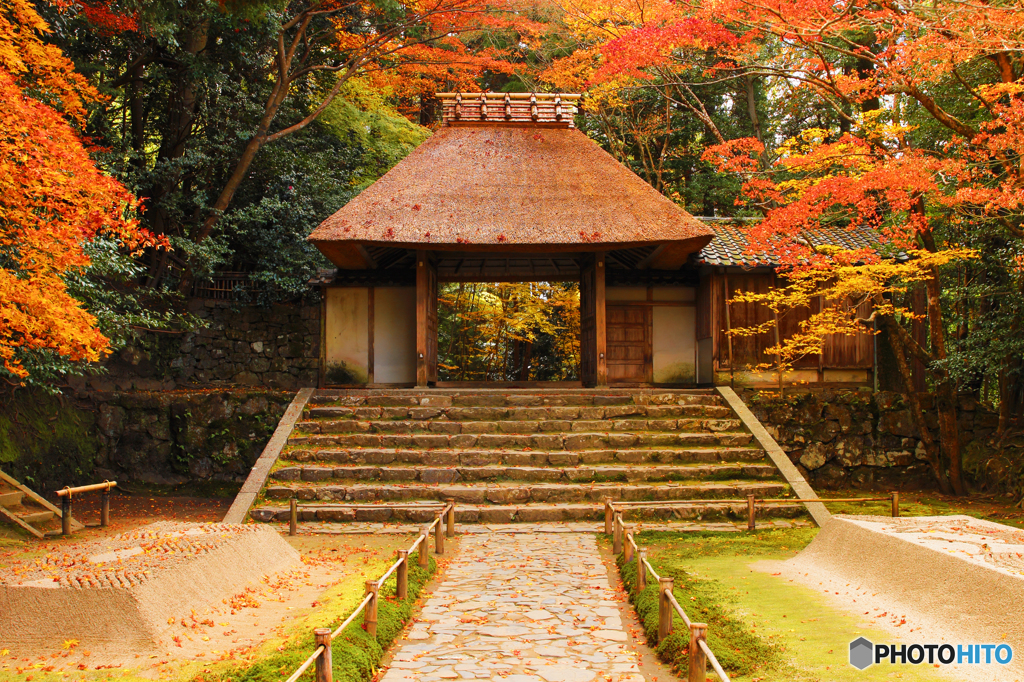 法然院山門