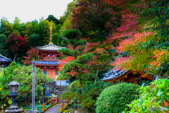 二重塔と紅葉