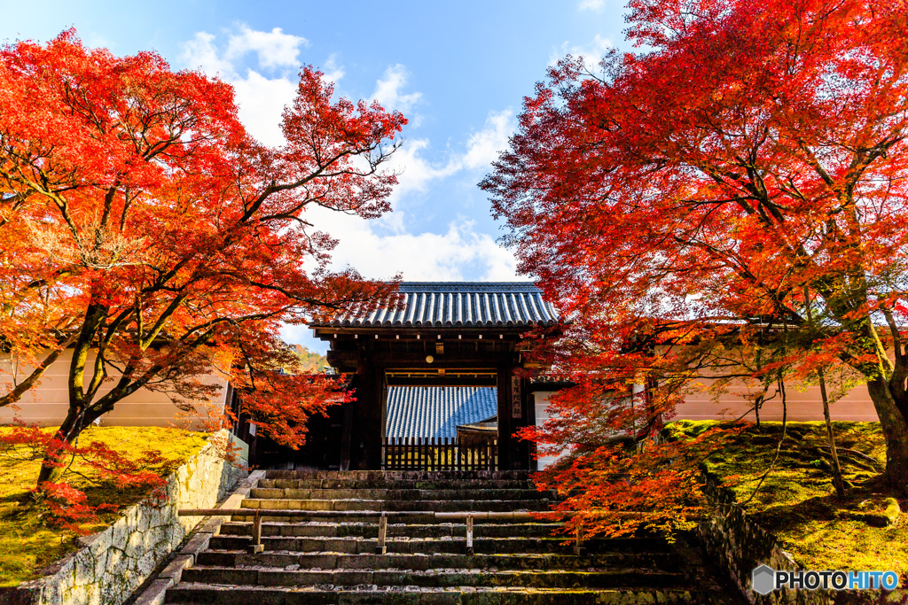 曼殊院門跡の紅葉