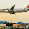 夕刻のジャルはち
