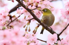 香りの中に