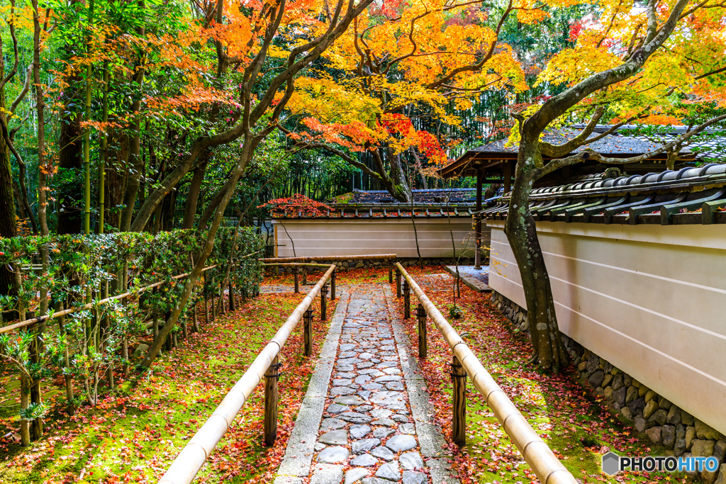 高桐院の参道Ⅱ