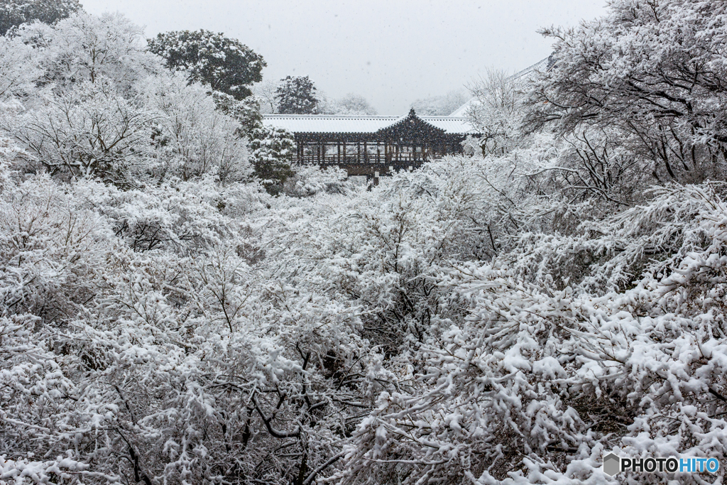 りばいばる東福寺