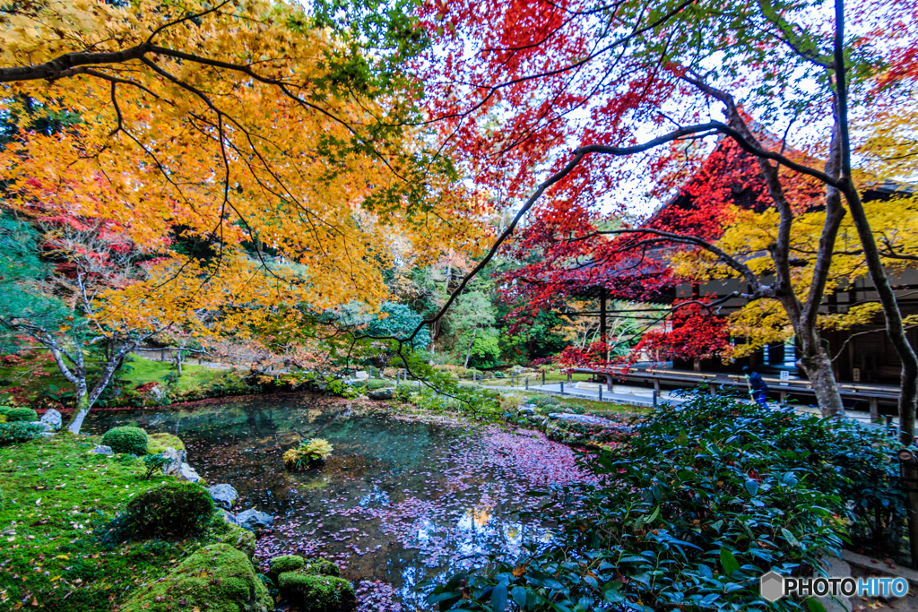 南禅院の庭園Ⅱ