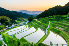 夕刻の明日香棚田