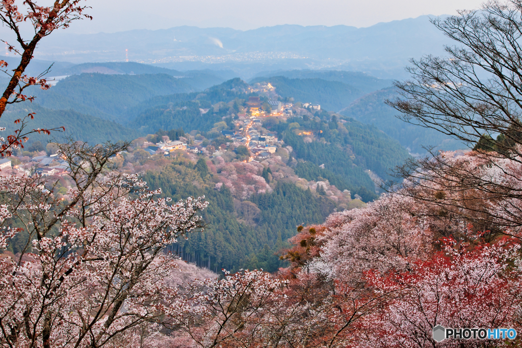 吉野山の朝