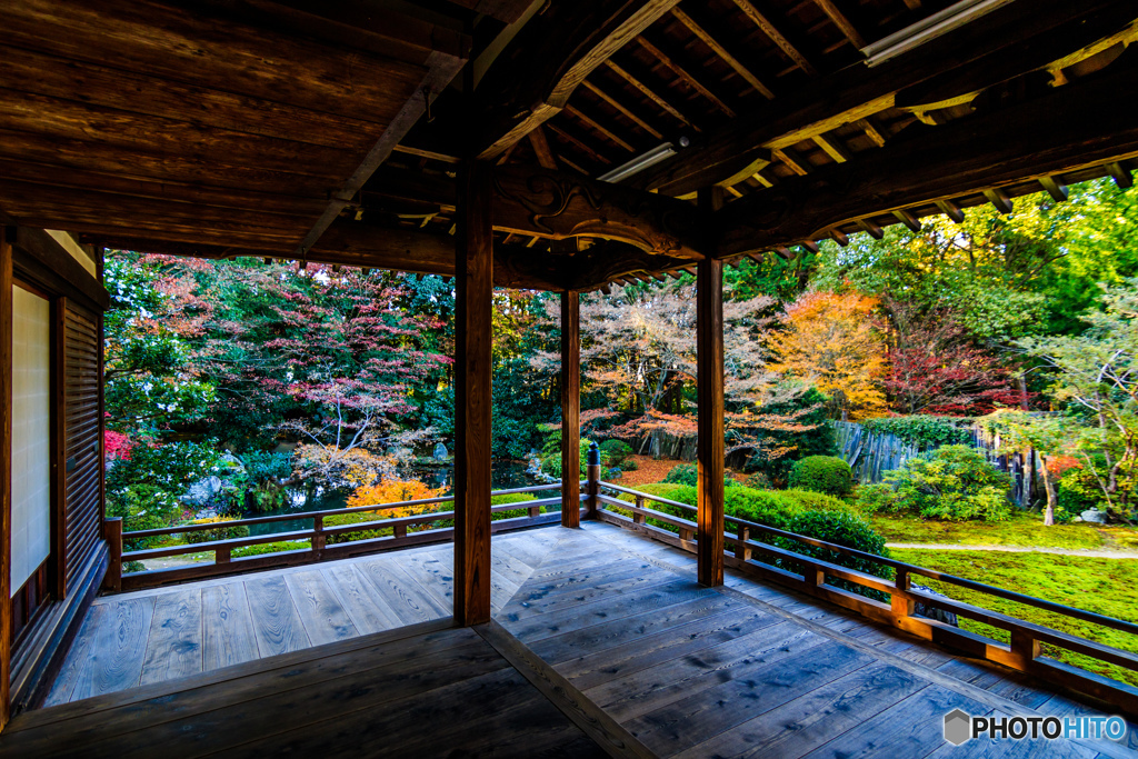静寂な隋心院②