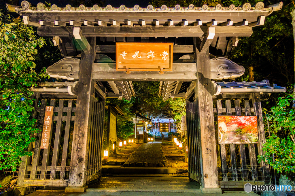 常寂光寺の花灯路