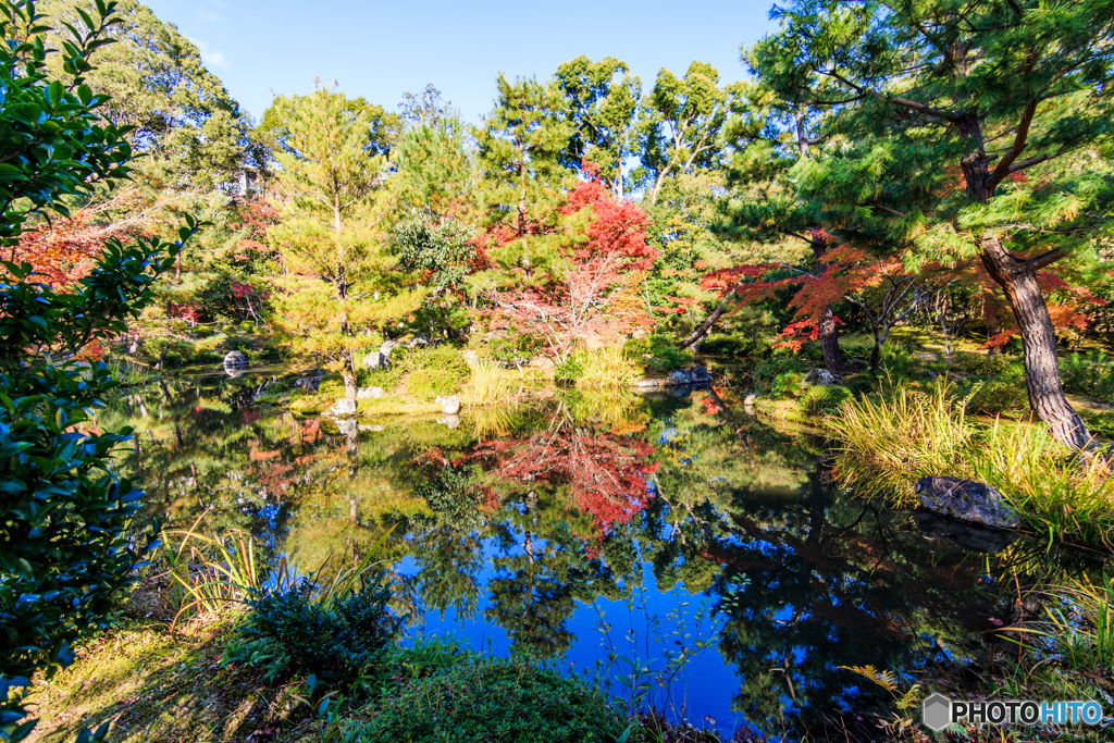 等持院の心字池
