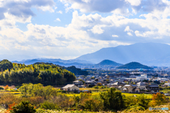 大和三山展望