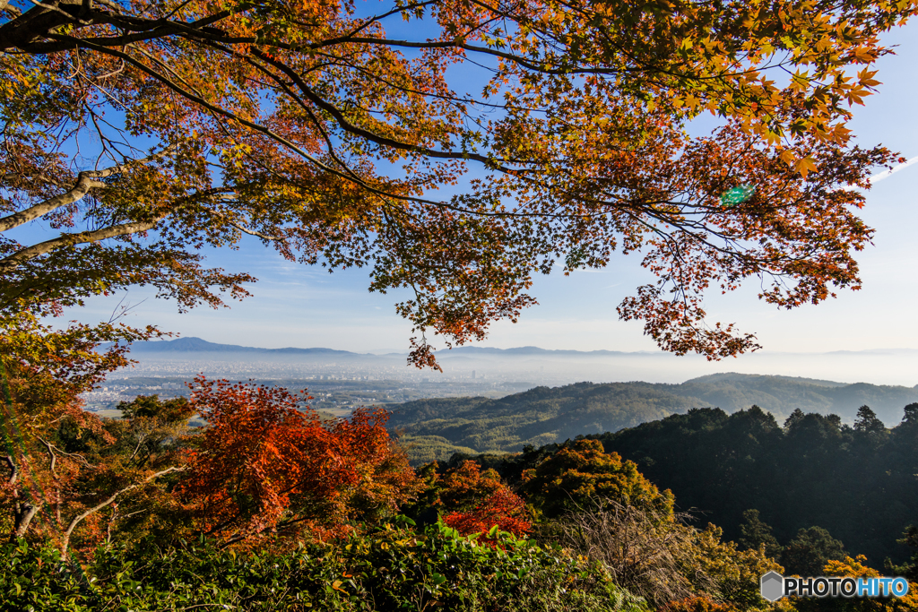 善峯寺の眺望