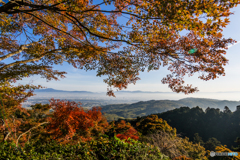 善峯寺の眺望