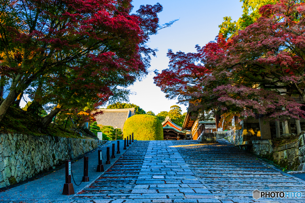 金戒光明寺の紅葉