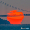 達磨夕日296