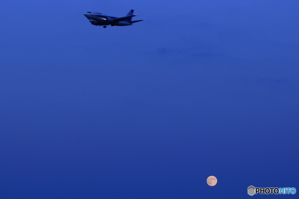 飛行機を眺めて