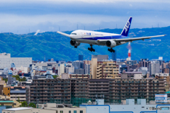 マイ・ホーム・タウン