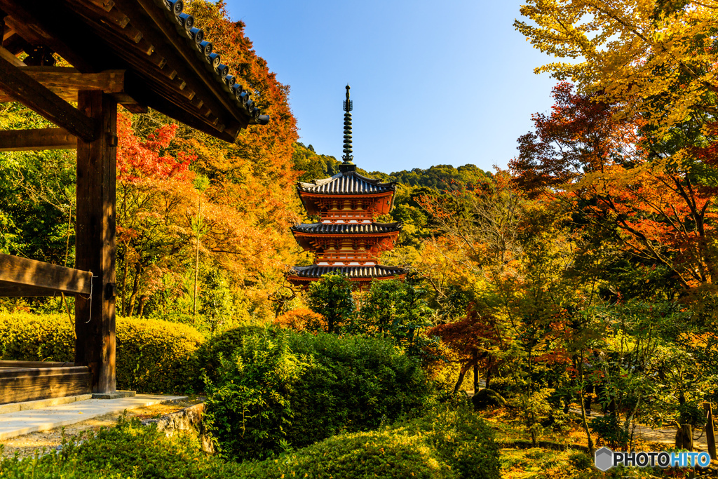 三室戸寺の三重塔