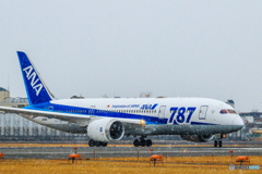 「787」ロゴ塗装機 Ⅷ