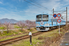 乗って楽しいみんなの列車