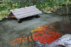 百花塢の水鏡