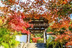 鐘楼門の紅葉Ⅱ