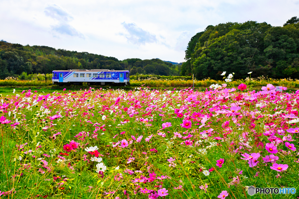 秋色の北条鉄道