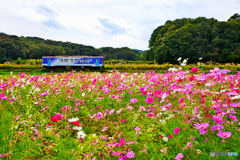 秋色の北条鉄道