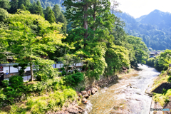 室生川の夏