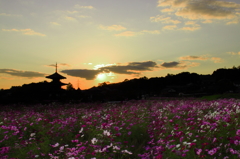 法起寺の夕日