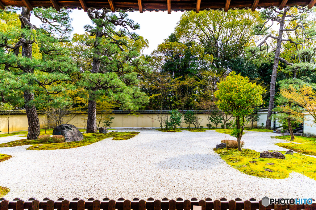 廬山寺の源氏庭