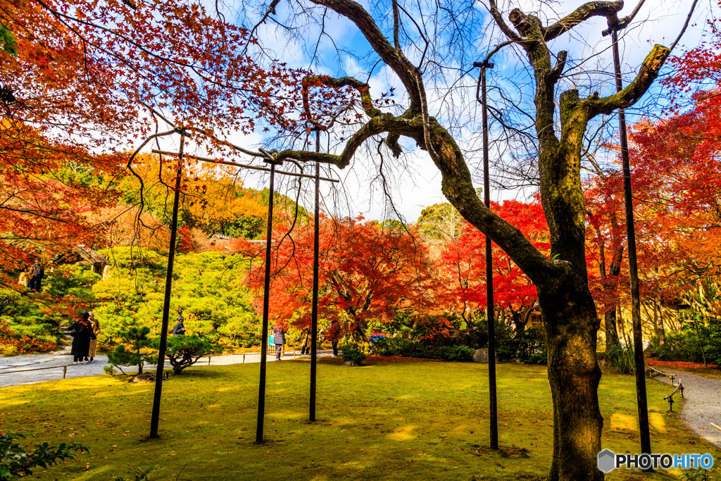 大河内山荘庭園