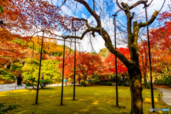 大河内山荘庭園