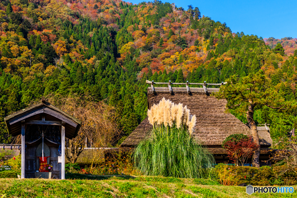 美山の紅葉