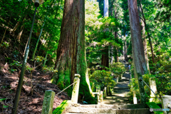 奥之院に続く石段