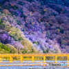 嵐山花灯路2018