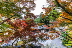 石山寺境内の紅葉