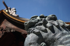 DSC00909