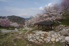 夢農場