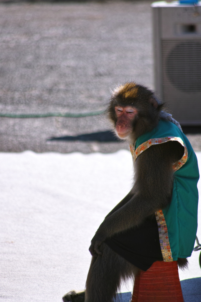 「ちょっと休憩」
