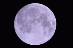 harvest moon2