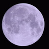 harvest moon2