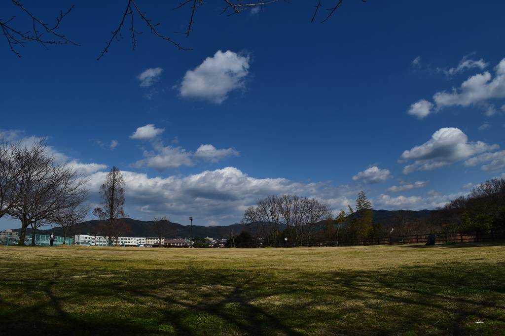 昼下がりの公園