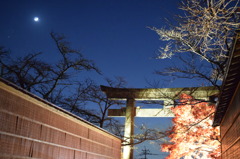 紅葉と鳥居と月