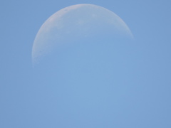 A DAY IN THE MOON