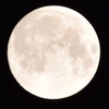 harvest moon3