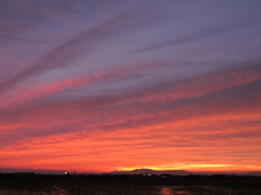 夕焼け